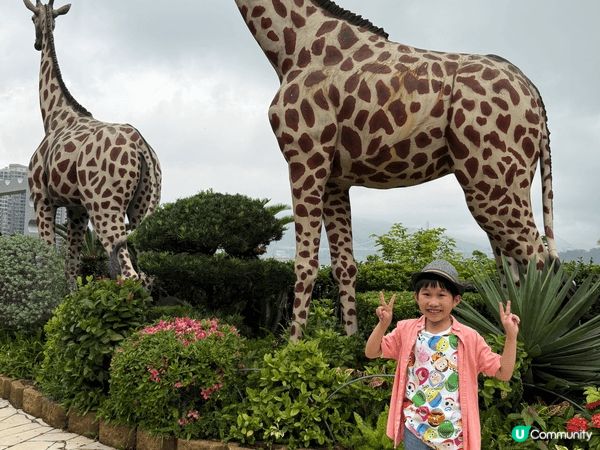 坐落於馬灣海濱，鄰近壯觀的青馬大橋，挪亞方舟主題公園不僅是全...