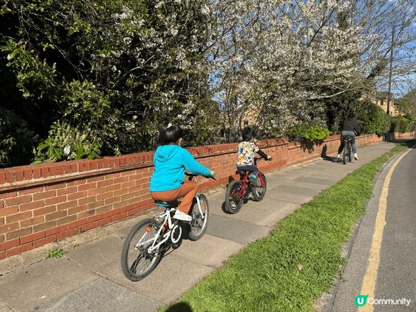 英國天氣好到不可思議，湛藍的天空中劃過幾道漂亮的雲痕。一條筆...