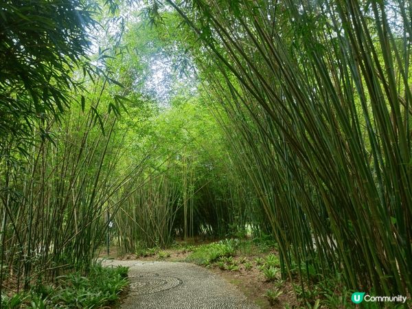 仙湖植物公園