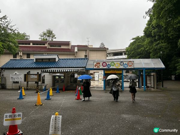 等左好耐，終於可以去市川市動物園探探胖奇（Panchi)仔了...