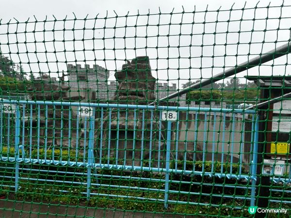 等左好耐，終於可以去市川市動物園探探胖奇（Panchi)仔了...