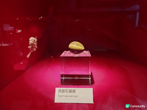 在城市與自然之間，總有一些地方，能讓人重新認識時間與生命的尺...