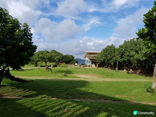 某年夏季去台灣，結果旅程中途遇颱風，最終當日只可到室內，我們...