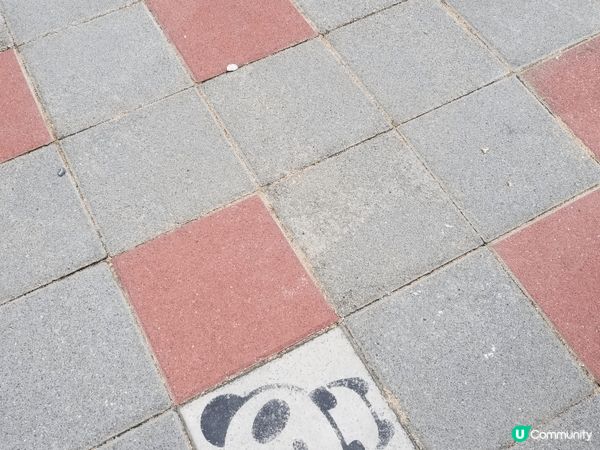 某年夏季去台灣，結果旅程中途遇颱風，最終當日只可到室內，我們...