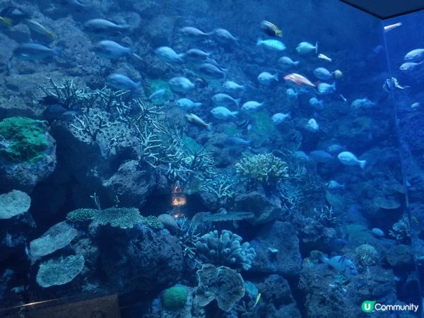 某年夏季去台灣，結果旅程中途遇颱風，最終當日只可到室內，我們...
