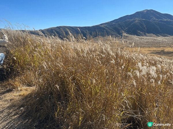 之前去熊本旅行，其中一個景點係阿蘇火山，第一次咁近距離見到火...