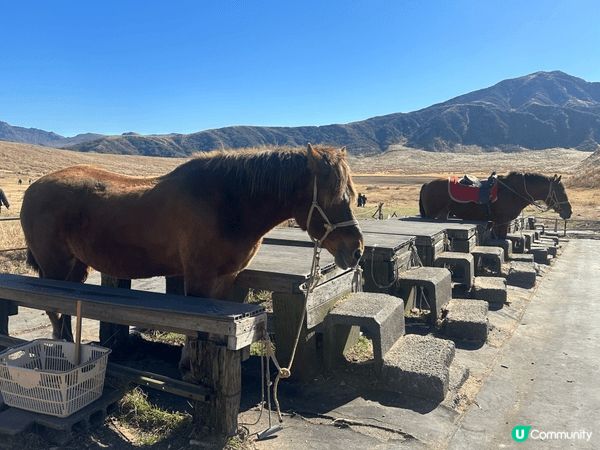之前去熊本旅行，其中一個景點係阿蘇火山，第一次咁近距離見到火...