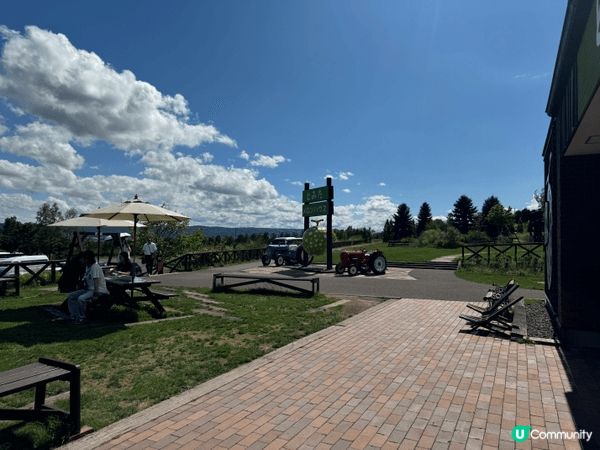 北海道國營瀧野鈴蘭丘陵公園，每年5-9 月都係花開季節，望去...