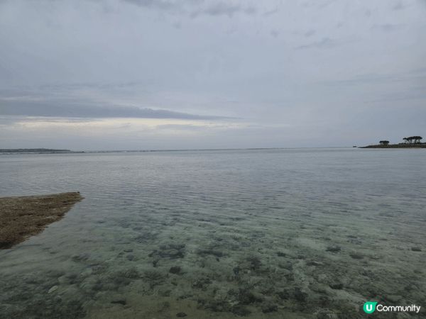 沖繩最出名最大的水族館，自由行去的，沒有跟團，所以自己一早搭...