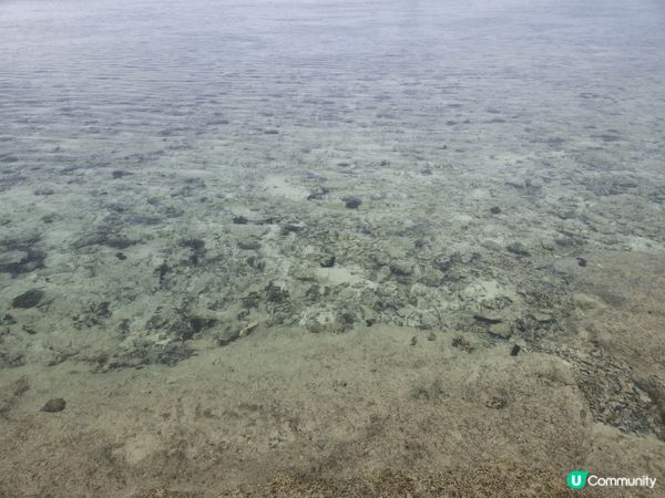 沖繩最出名最大的水族館，自由行去的，沒有跟團，所以自己一早搭...