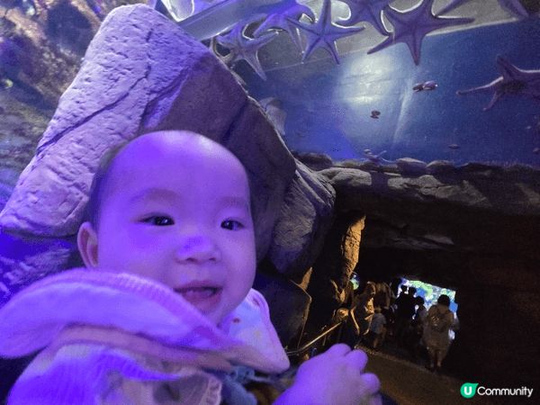 跟女兒去海洋公園親親大自然和海陸空動物，小朋友很開心，又有教...