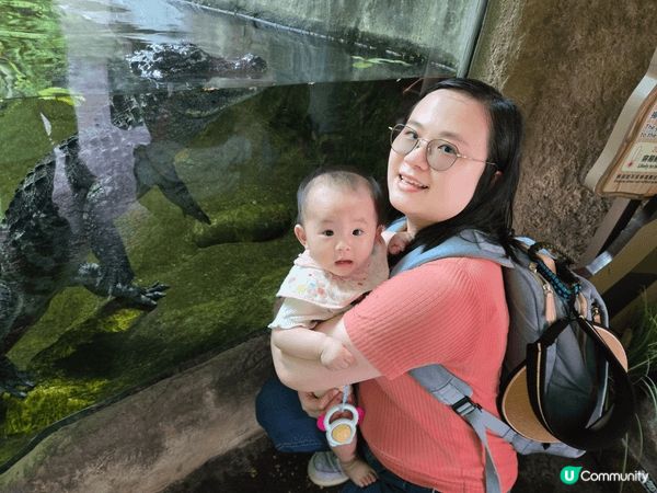 跟女兒去海洋公園親親大自然和海陸空動物，小朋友很開心，又有教...