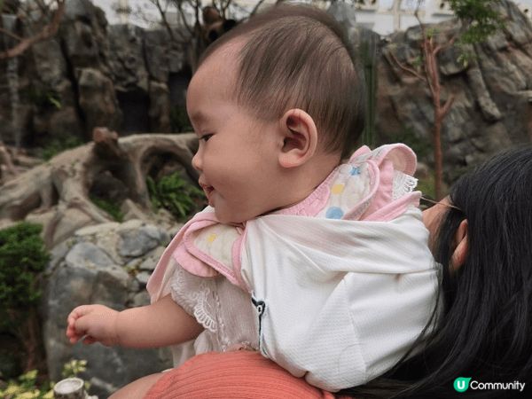 跟女兒去海洋公園親親大自然和海陸空動物，小朋友很開心，又有教...
