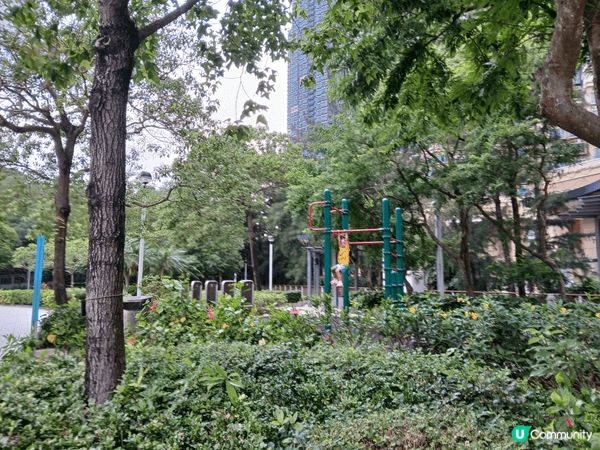 去公園的好幫手