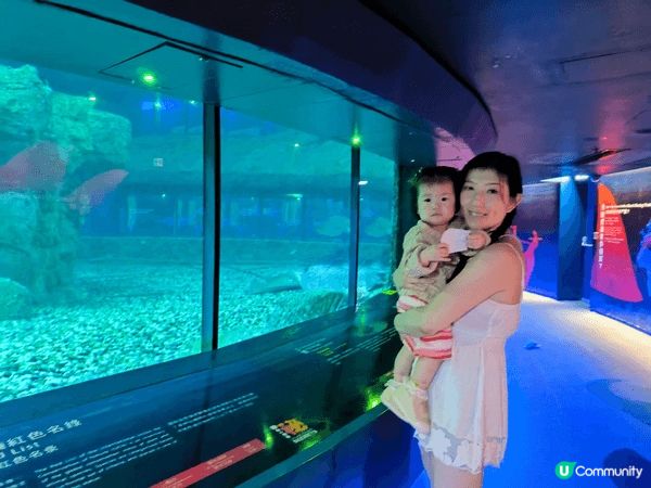 去海洋公園，親親大自然睇動物，好過睇書。