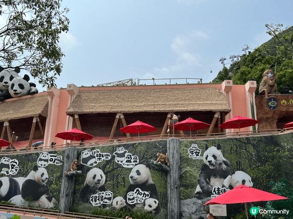 香港海洋公園：可以比小朋友認識平時較少接觸既動物，例如： 熊...