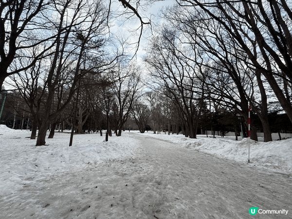 3月去北海道非常適合賞雪又不算太凍，札幌、小樽仲有浪漫雪景，...