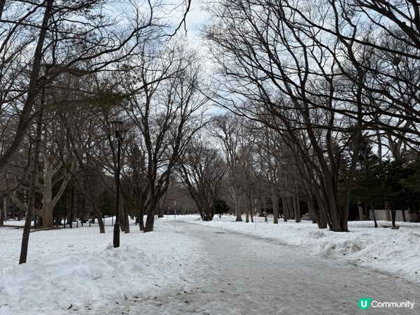 3月去北海道非常適合賞雪又不算太凍，札幌、小樽仲有浪漫雪景，...