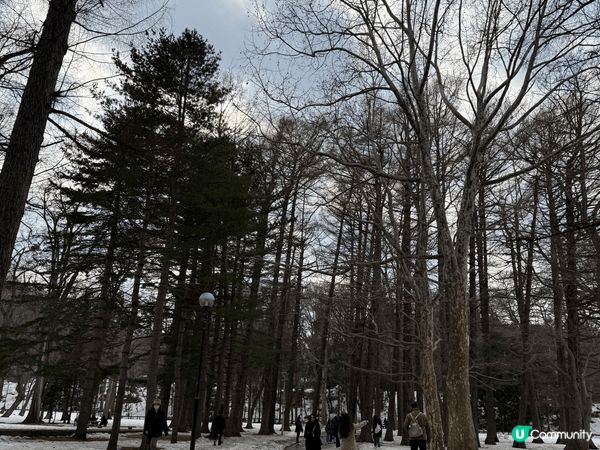 3月去北海道非常適合賞雪又不算太凍，札幌、小樽仲有浪漫雪景，...