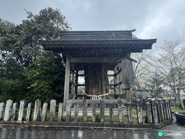 去咗阿蘇神社，但比較可惜嗰日落大雨，想影相都比較狼狽，而且天...