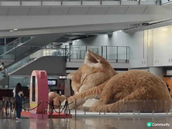 香港機場藝廊咖啡室（Gallery Cafe）午市自助餐，絕...