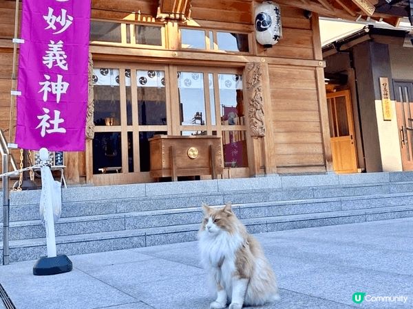 東京駒込嘅「妙義神社」，除咗出名求勝負運同出世運外，可愛嘅鎮...