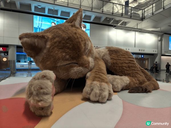 機場而家有個叫「旅途上的『喵』 」嘅巨型互動貓咪藝術裝置，由...