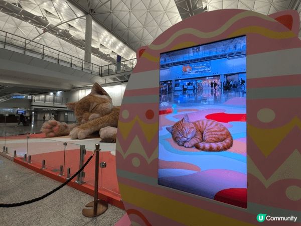 機場而家有個叫「旅途上的『喵』 」嘅巨型互動貓咪藝術裝置，由...