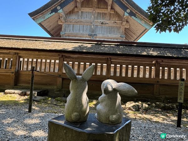 日本島根的出雲大社，一個結緣的神社。入面清靜及美麗是值的去們...