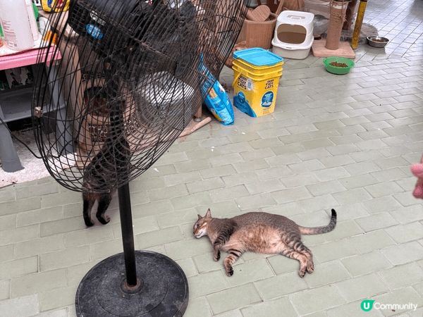 周末的时候跟朋友去了澳门走走，這次去了跑男做公益活動時去的地...