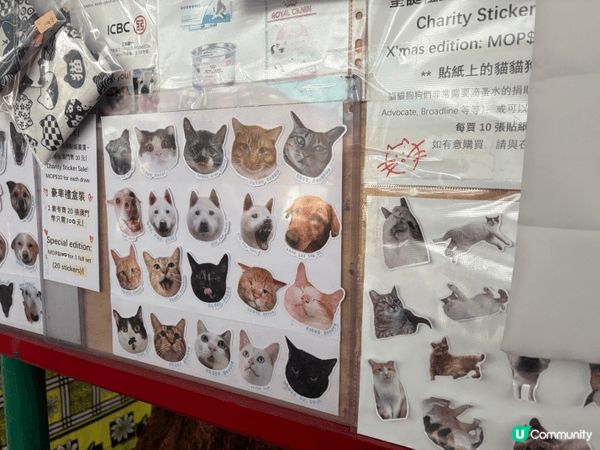 周末的时候跟朋友去了澳门走走，這次去了跑男做公益活動時去的地...