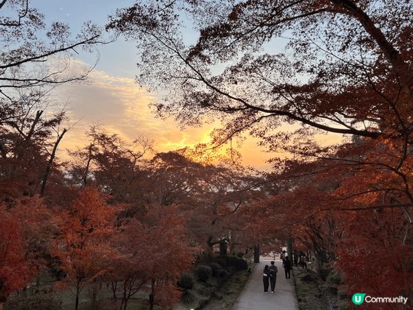 福岡太宰府 寶滿宮竈門神社⛩️