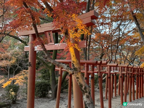 福岡太宰府 寶滿宮竈門神社⛩️