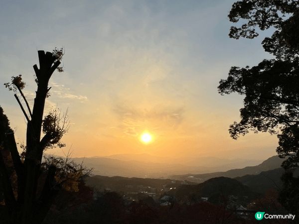 福岡太宰府 寶滿宮竈門神社⛩️