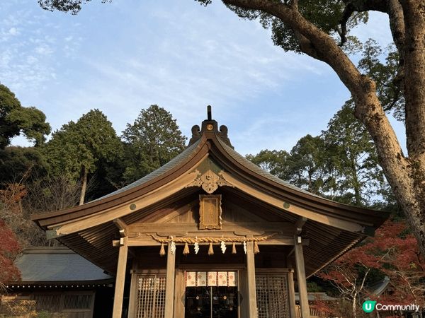 福岡太宰府 寶滿宮竈門神社⛩️