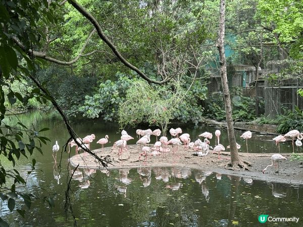 以旅客身份來說，我覺得台北動物園（木柵）超適合安排一整天！園...