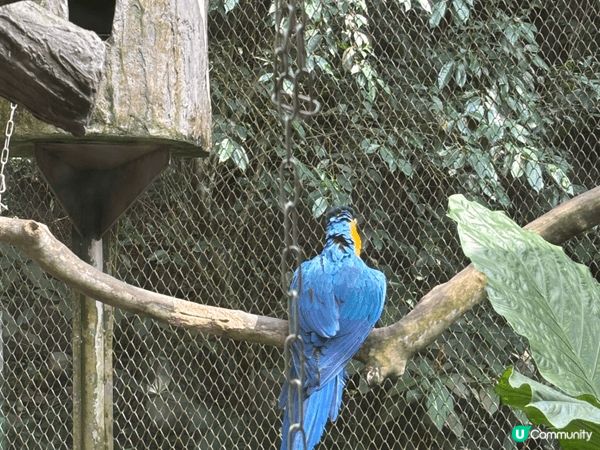 以旅客身份來說，我覺得台北動物園（木柵）超適合安排一整天！園...
