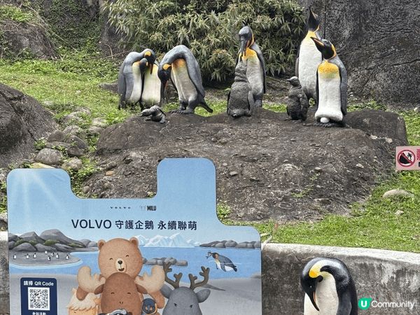 以旅客身份來說，我覺得台北動物園（木柵）超適合安排一整天！園...