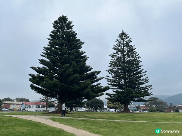 澳大利亞墨爾本大洋路Great Ocean Road-大洋路...