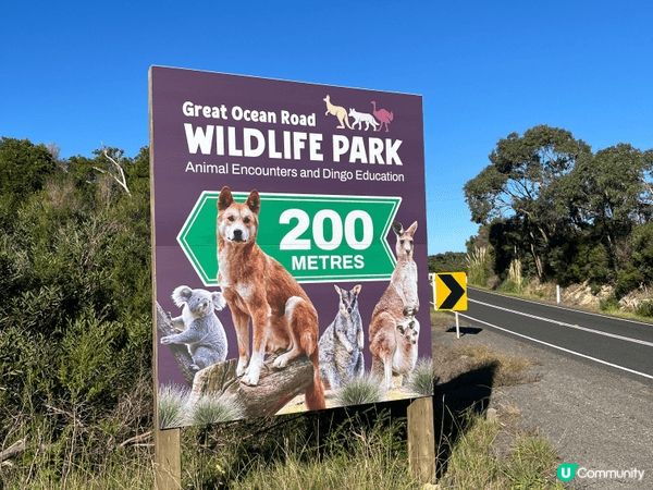 澳大利亞墨爾本大洋路Great Ocean Road-大洋路...