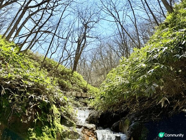 🇯🇵去日本北海道旅行，喺登別感受震撼嘅溫泉地獄谷♨️，漫步青...