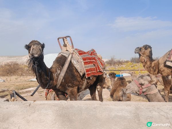土耳其 卡柏多奇亞Cappadocia🎈一個奸靚嘅神秘國度，...