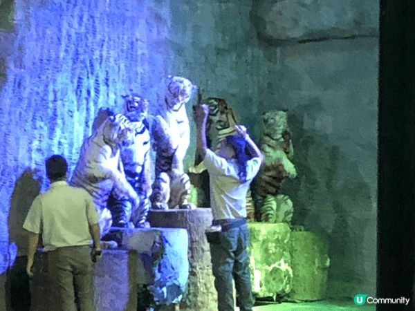 泰國清邁的晚間動物園，有不同表演睇和能夠坐車近距離看不同的肉...