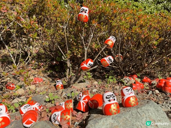 大阪嘅勝美寺，嗰度真係打卡打到手軟㗎！成個山頭全部都係紅色達...