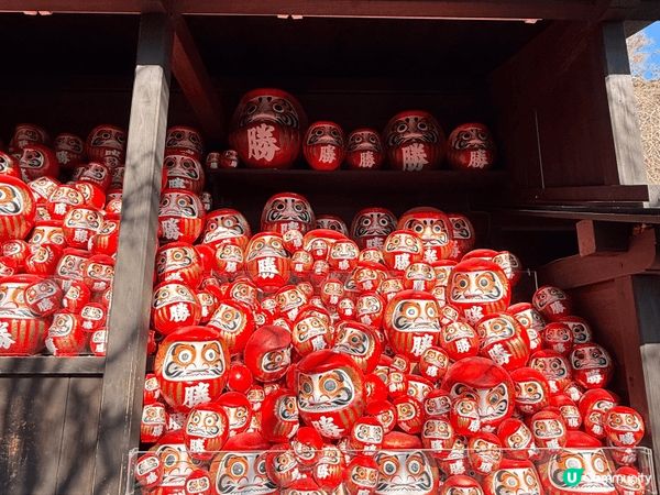 大阪嘅勝美寺，嗰度真係打卡打到手軟㗎！成個山頭全部都係紅色達...