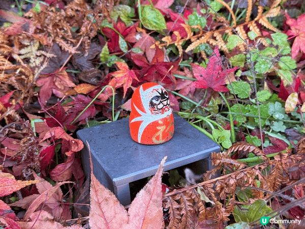 大阪嘅勝美寺，嗰度真係打卡打到手軟㗎！成個山頭全部都係紅色達...
