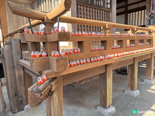 大阪嘅勝美寺，嗰度真係打卡打到手軟㗎！成個山頭全部都係紅色達...