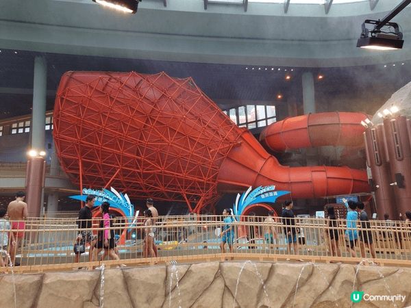 第一次帶Asher到海洋公園水上樂園，水上樂園只有最刺激的幾...
