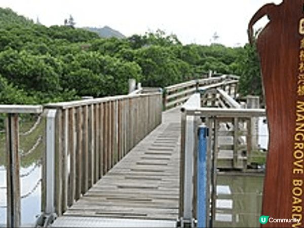 這張圖片是香港濕地公園的木板路。推薦大家來這裡的原因是環境清...