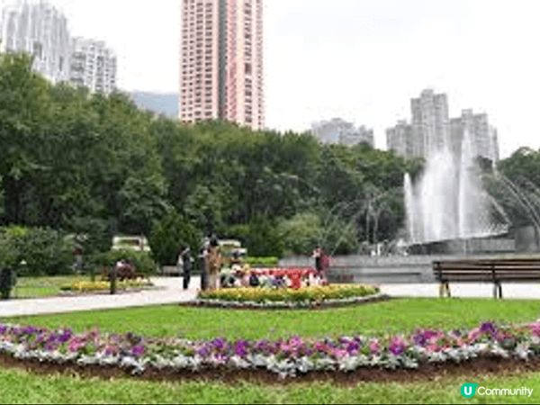 圖片展示的是香港動植物公園的入口廣場及噴泉區。推介原因是在高...